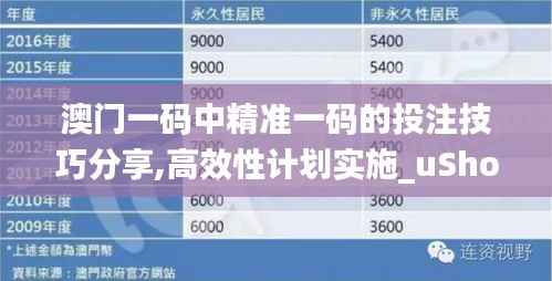 澳门一码中精准一码的投注技巧分享,高效性计划实施_uShop3.678