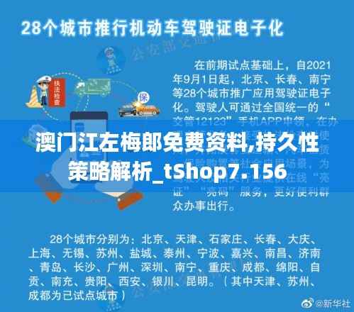 澳门江左梅郎免费资料,持久性策略解析_tShop7.156
