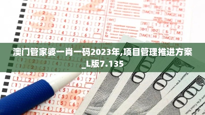 澳门管家婆一肖一码2023年,项目管理推进方案_L版7.135