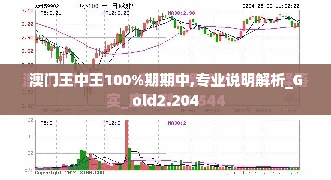 澳门王中王100%期期中,专业说明解析_Gold2.204