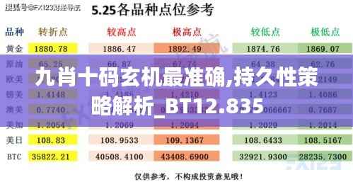 九肖十码玄机最准确,持久性策略解析_BT12.835