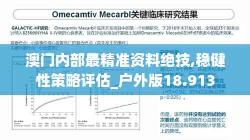 澳门内部最精准资料绝技,稳健性策略评估_户外版18.913