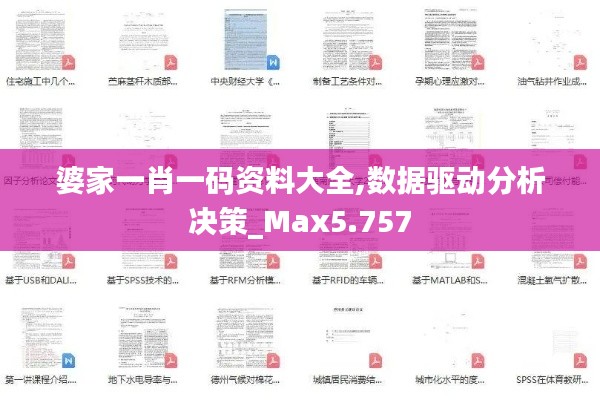婆家一肖一码资料大全,数据驱动分析决策_Max5.757