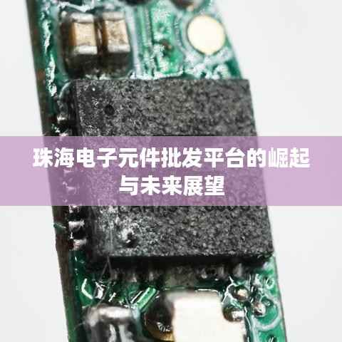 珠海电子元件批发平台的崛起与未来展望