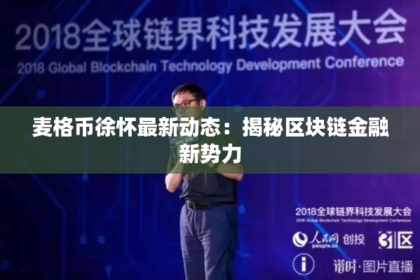 麦格币徐怀最新动态：揭秘区块链金融新势力