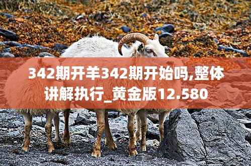 342期开羊342期开始吗,整体讲解执行_黄金版12.580