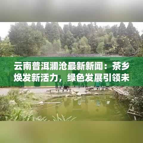 云南普洱澜沧最新新闻：茶乡焕发新活力，绿色发展引领未来