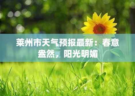 莱州市天气预报最新：春意盎然，阳光明媚