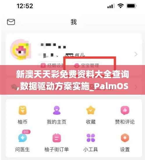 新澳天天彩免费资料大全查询,数据驱动方案实施_PalmOS19.800