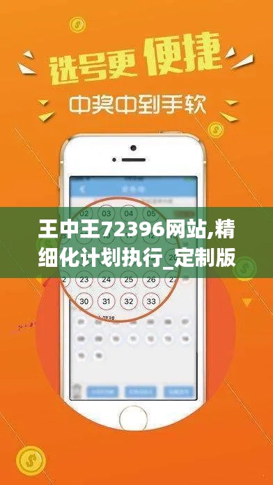 王中王72396网站,精细化计划执行_定制版4.283
