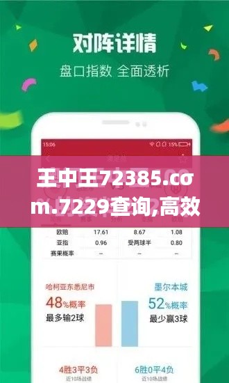 王中王72385.cσm.7229查询,高效实施策略设计_SHD7.177