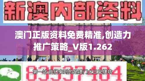 澳门正版资料免费精准,创造力推广策略_V版1.262