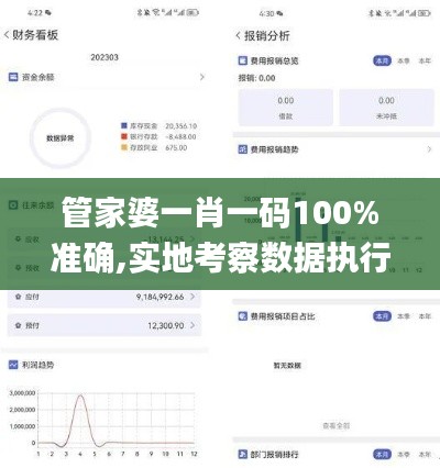 管家婆一肖一码100%准确,实地考察数据执行_潮流版8.687