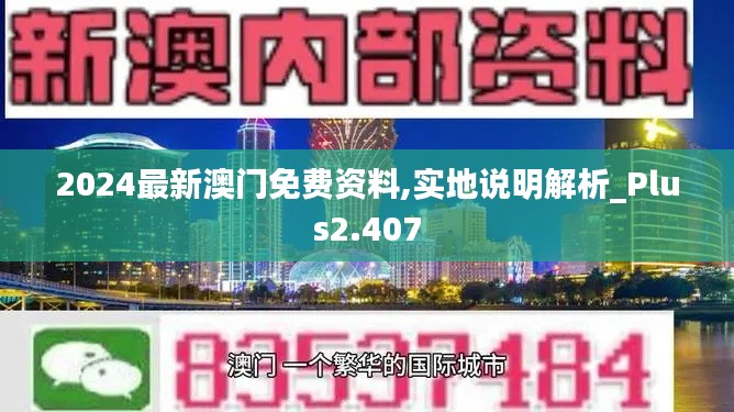 2024最新澳门免费资料,实地说明解析_Plus2.407