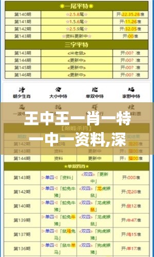 王中王一肖一特一中一资料,深入执行方案设计_策略版3.990