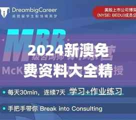 2024新澳免费资料大全精准版,实地数据验证执行_watchOS9.281