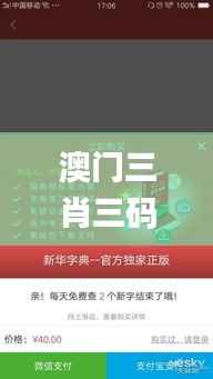 澳门三肖三码精准100%新华字典,实地验证设计方案_suite8.139