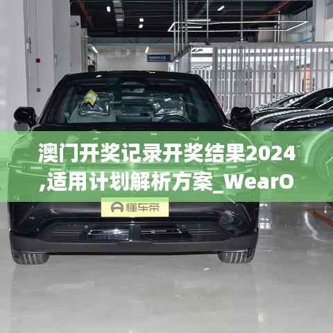 澳门开奖记录开奖结果2024,适用计划解析方案_WearOS1.651