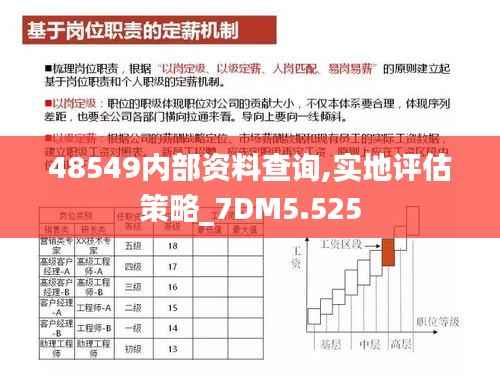 48549内部资料查询,实地评估策略_7DM5.525