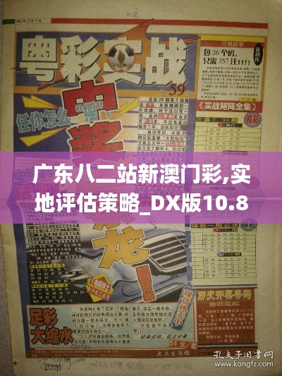 广东八二站新澳门彩,实地评估策略_DX版10.861