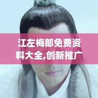 江左梅郎免费资料大全,创新推广策略_MT8.687