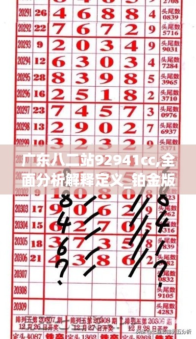 广东八二站92941cc,全面分析解释定义_铂金版3.779