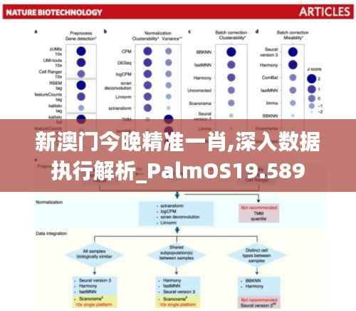 新澳门今晚精准一肖,深入数据执行解析_PalmOS19.589