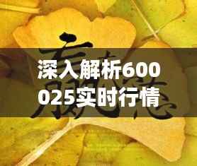 深入解析600025实时行情:揭秘股市动态与投资策略