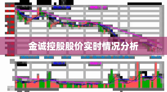 金诚控股股价实时情况分析