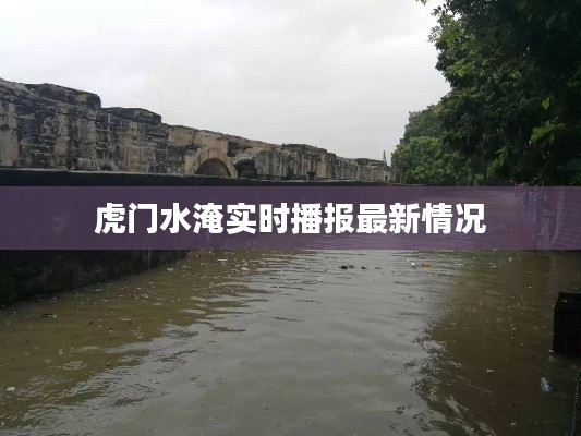 虎门水淹实时播报最新情况