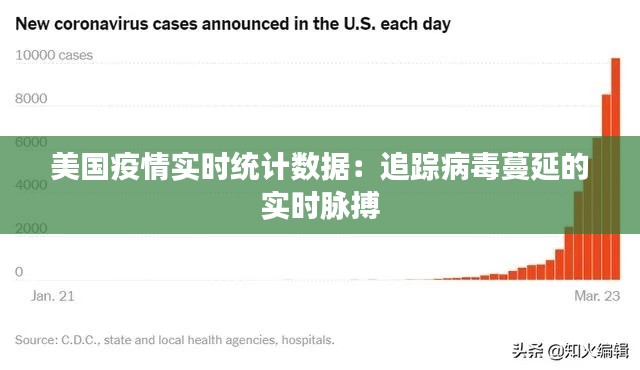 美国疫情实时统计数据:追踪病毒蔓延的实时脉搏