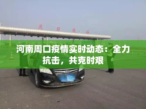 河南周口疫情实时动态：全力抗击，共克时艰
