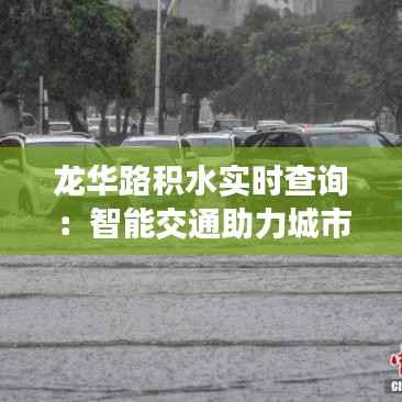 龙华路积水实时查询：智能交通助力城市出行无忧