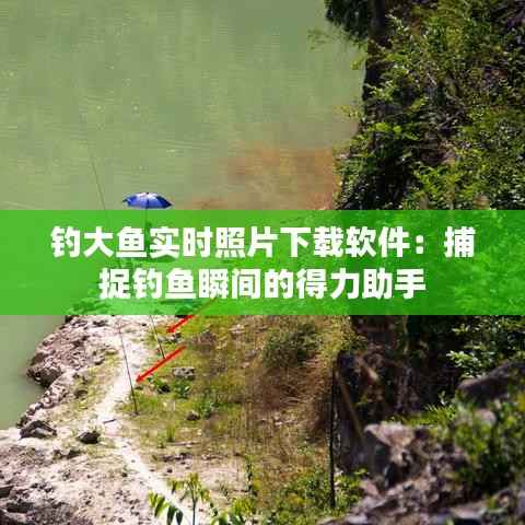 钓大鱼实时照片下载软件：捕捉钓鱼瞬间的得力助手