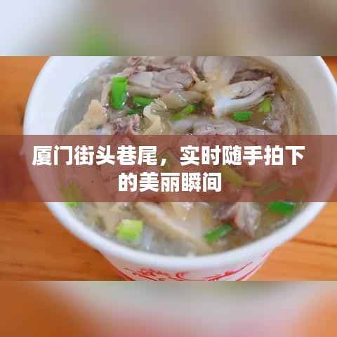 厦门街头巷尾，实时随手拍下的美丽瞬间