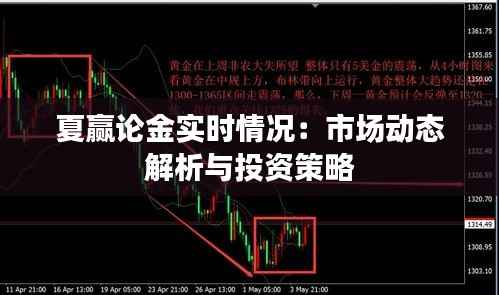 夏赢论金实时情况：市场动态解析与投资策略