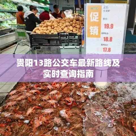 贵阳13路公交车最新路线及实时查询指南