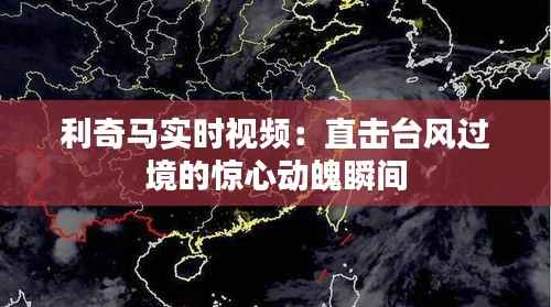 利奇马实时视频：直击台风过境的惊心动魄瞬间