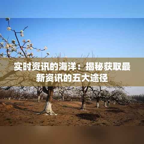 实时资讯的海洋：揭秘获取最新资讯的五大途径