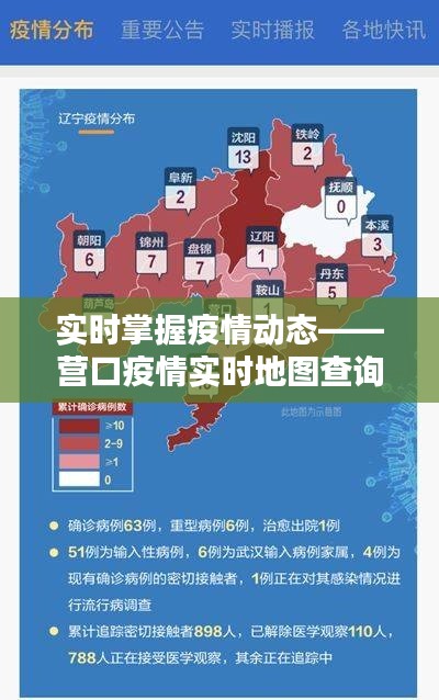 实时掌握疫情动态——营口疫情实时地图查询全攻略