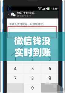 微信钱没实时到账如何退？详解解决步骤