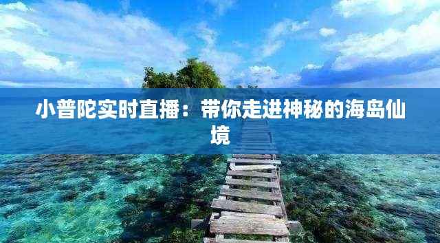 小普陀实时直播:带你走进神秘的海岛仙境