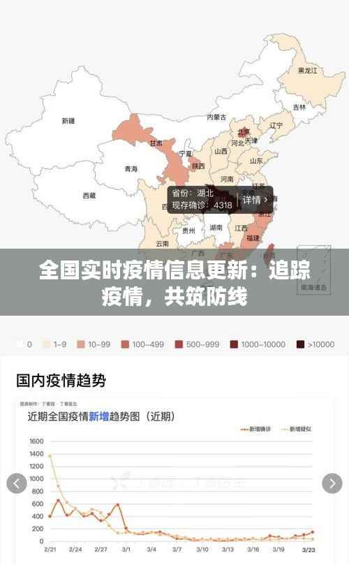 全国实时疫情信息更新：追踪疫情，共筑防线