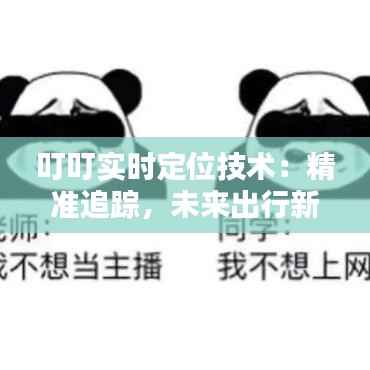 叮叮实时定位技术：精准追踪，未来出行新体验