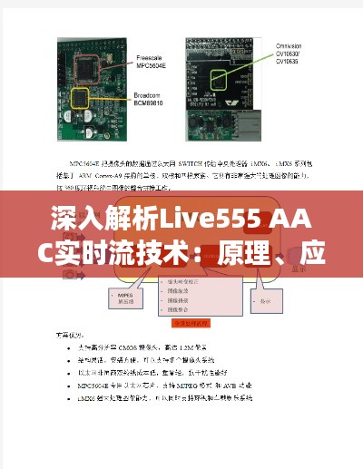 深入解析Live555 AAC实时流技术：原理、应用与挑战
