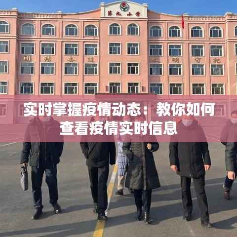 实时掌握疫情动态：教你如何查看疫情实时信息