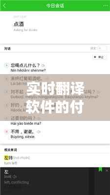 实时翻译软件的付费之谜：揭秘其使用成本与价值