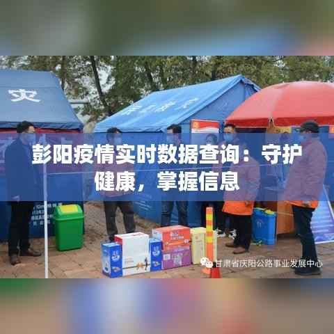 彭阳疫情实时数据查询：守护健康，掌握信息