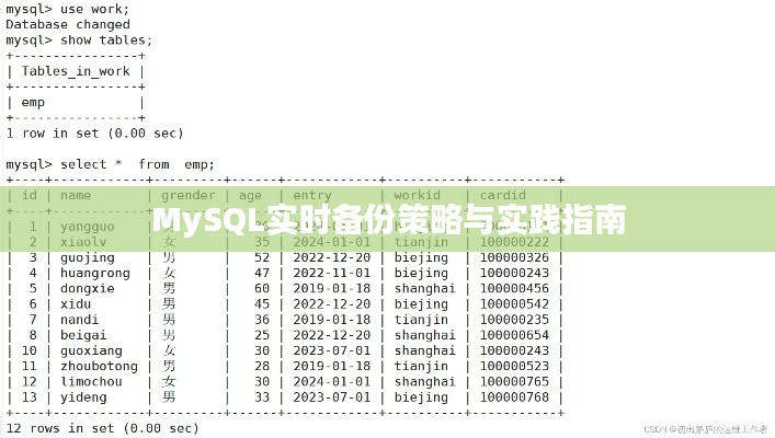 MySQL实时备份策略与实践指南