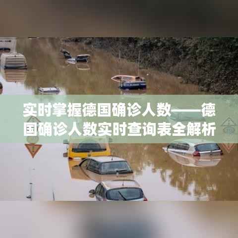 实时掌握德国确诊人数——德国确诊人数实时查询表全解析